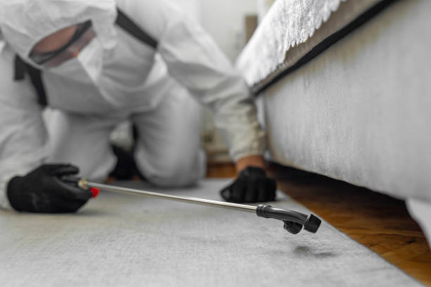 Professional Termite Control technician working in Cowlitz County County, WA
